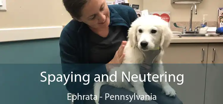Spaying and Neutering Ephrata - Pennsylvania