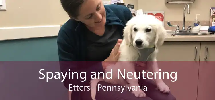 Spaying and Neutering Etters - Pennsylvania
