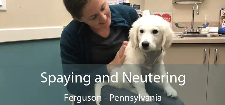 Spaying and Neutering Ferguson - Pennsylvania