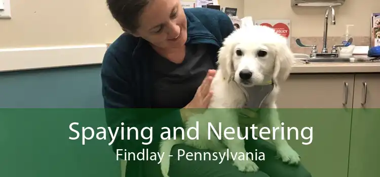 Spaying and Neutering Findlay - Pennsylvania