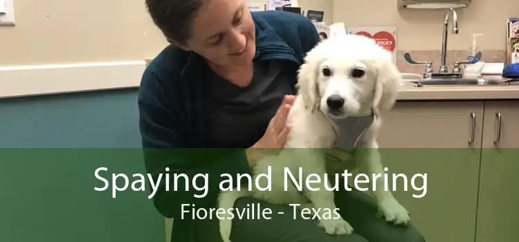 Spaying and Neutering Fioresville - Texas
