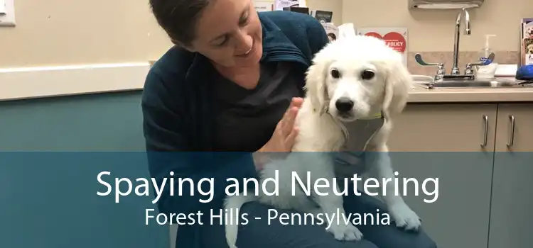 Spaying and Neutering Forest Hills - Pennsylvania