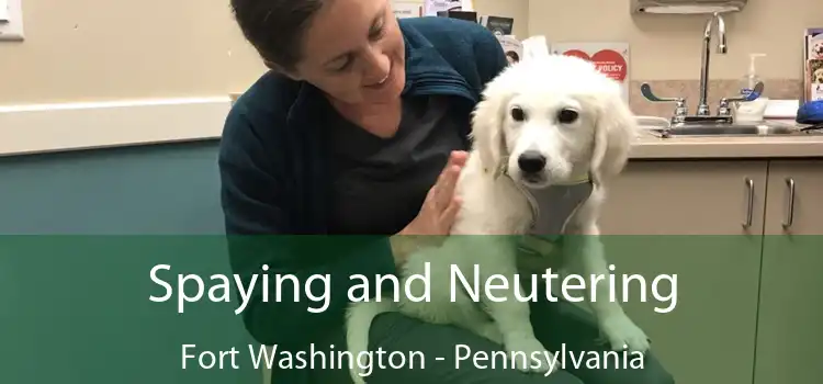 Spaying and Neutering Fort Washington - Pennsylvania
