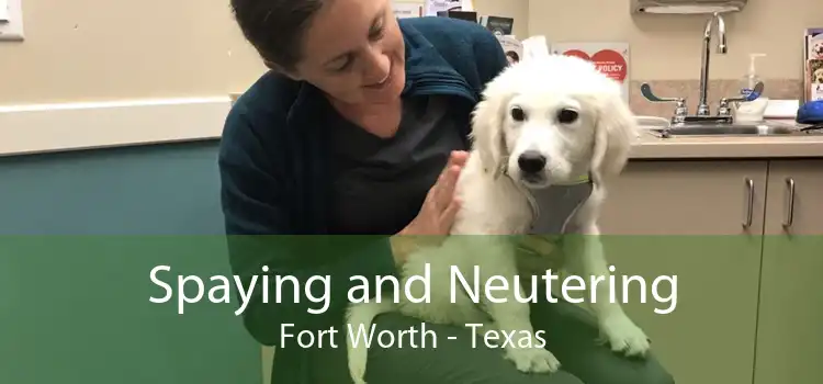 Spaying and Neutering Fort Worth - Texas