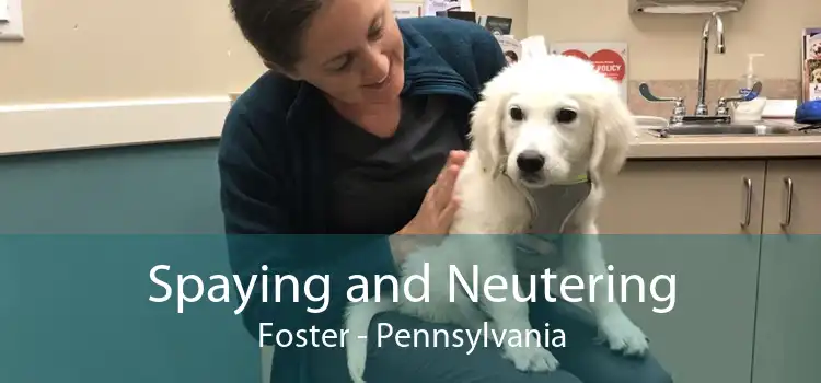 Spaying and Neutering Foster - Pennsylvania