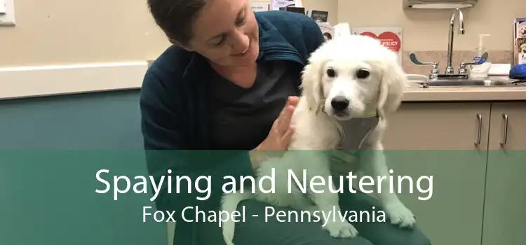 Spaying and Neutering Fox Chapel - Pennsylvania