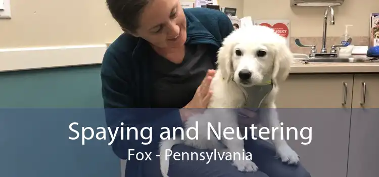 Spaying and Neutering Fox - Pennsylvania