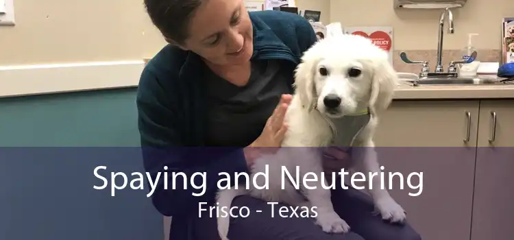 Spaying and Neutering Frisco - Texas