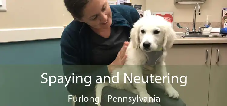 Spaying and Neutering Furlong - Pennsylvania