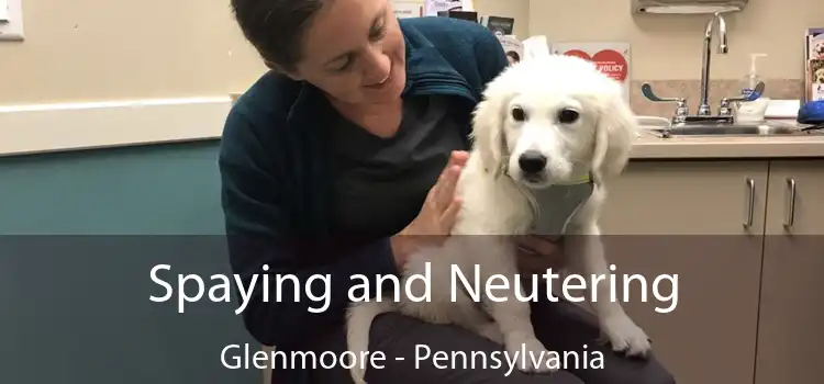Spaying and Neutering Glenmoore - Pennsylvania