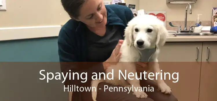 Spaying and Neutering Hilltown - Pennsylvania