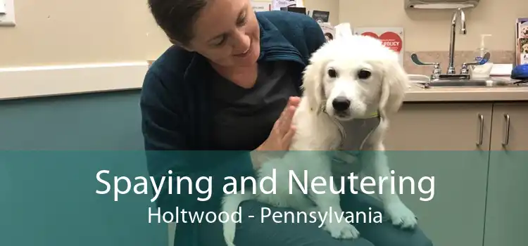 Spaying and Neutering Holtwood - Pennsylvania