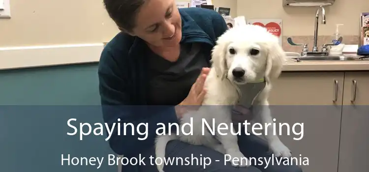 Spaying and Neutering Honey Brook township - Pennsylvania