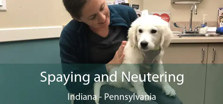 Spaying and Neutering Indiana - Pennsylvania