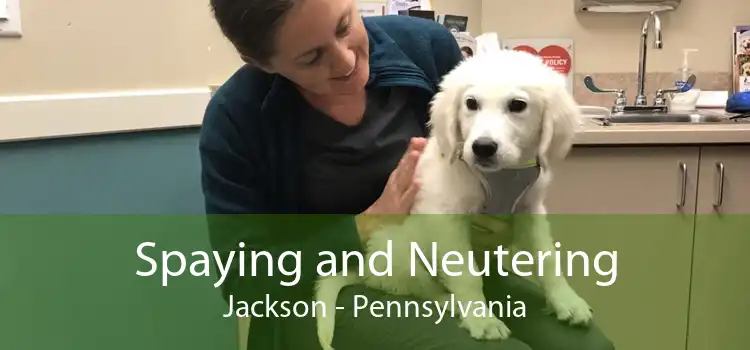 Spaying and Neutering Jackson - Pennsylvania