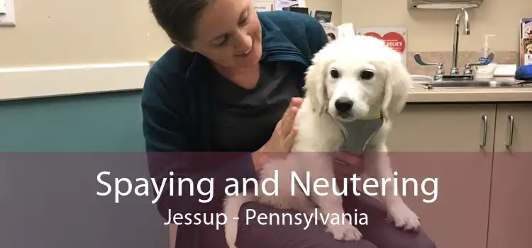 Spaying and Neutering Jessup - Pennsylvania