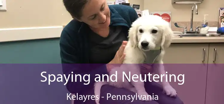 Spaying and Neutering Kelayres - Pennsylvania