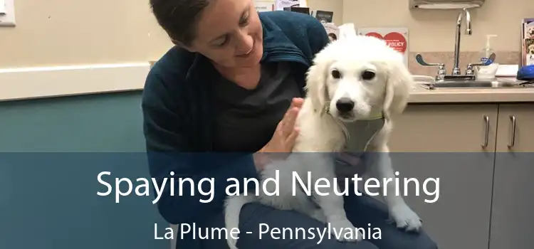 Spaying and Neutering La Plume - Pennsylvania