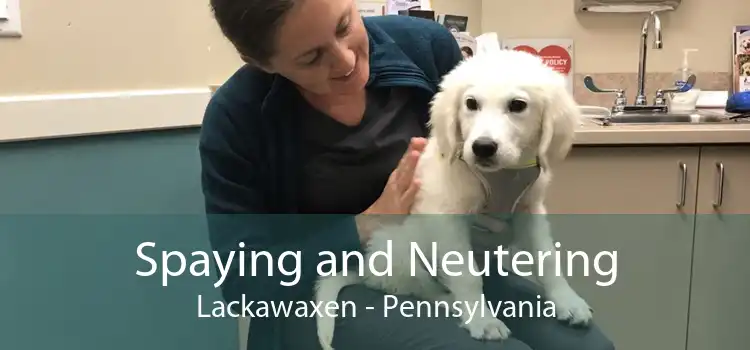 Spaying and Neutering Lackawaxen - Pennsylvania
