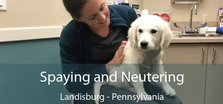 Spaying and Neutering Landisburg - Pennsylvania