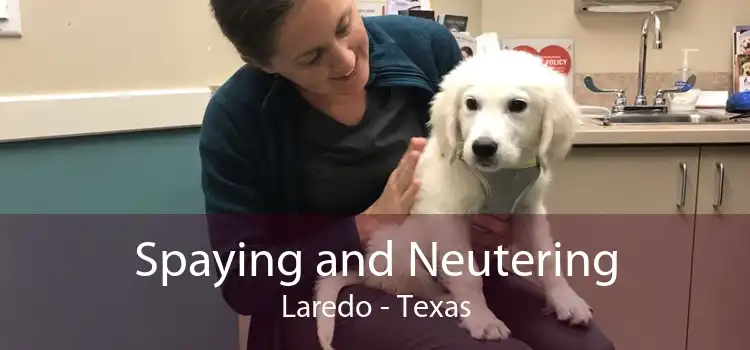 Spaying and Neutering Laredo - Texas