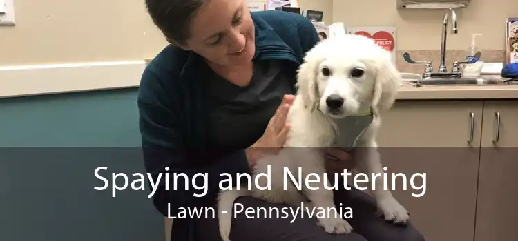 Spaying and Neutering Lawn - Pennsylvania