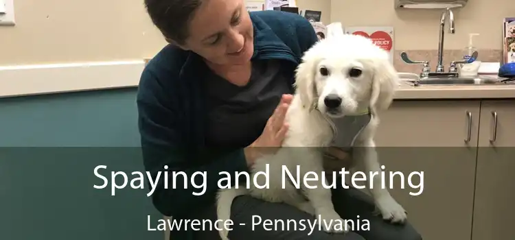 Spaying and Neutering Lawrence - Pennsylvania
