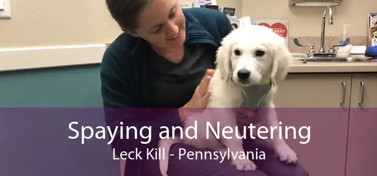 Spaying and Neutering Leck Kill - Pennsylvania
