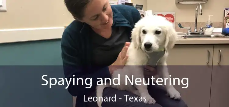 Spaying and Neutering Leonard - Texas
