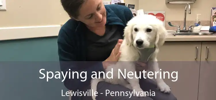 Spaying and Neutering Lewisville - Pennsylvania