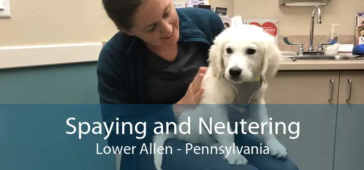 Spaying and Neutering Lower Allen - Pennsylvania