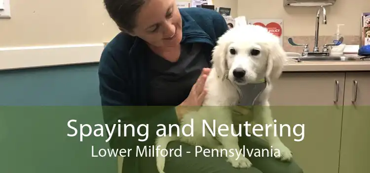 Spaying and Neutering Lower Milford - Pennsylvania