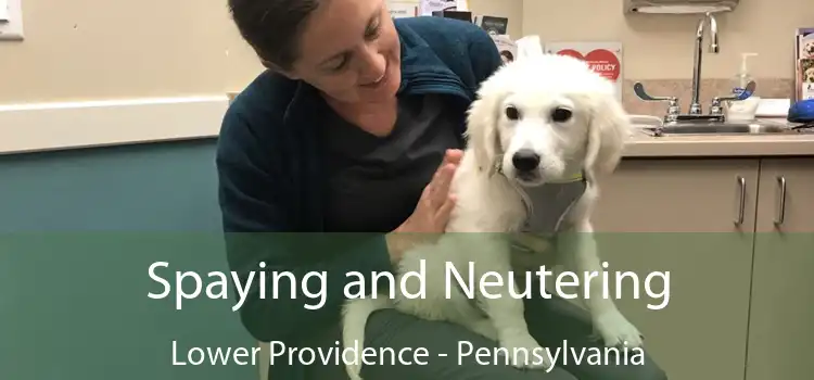 Spaying and Neutering Lower Providence - Pennsylvania