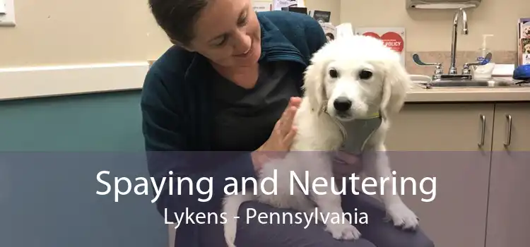 Spaying and Neutering Lykens - Pennsylvania
