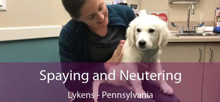 Spaying and Neutering Lykens - Pennsylvania