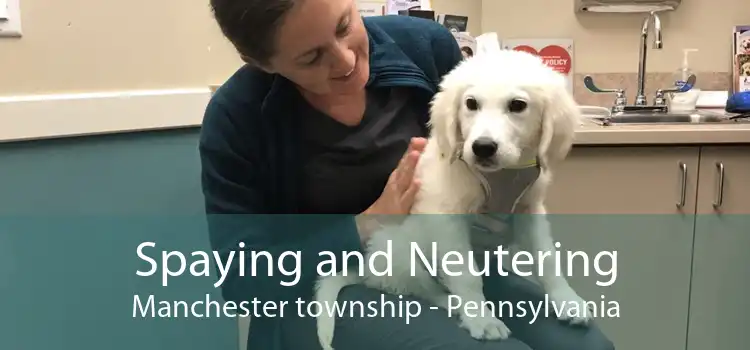 Spaying and Neutering Manchester township - Pennsylvania