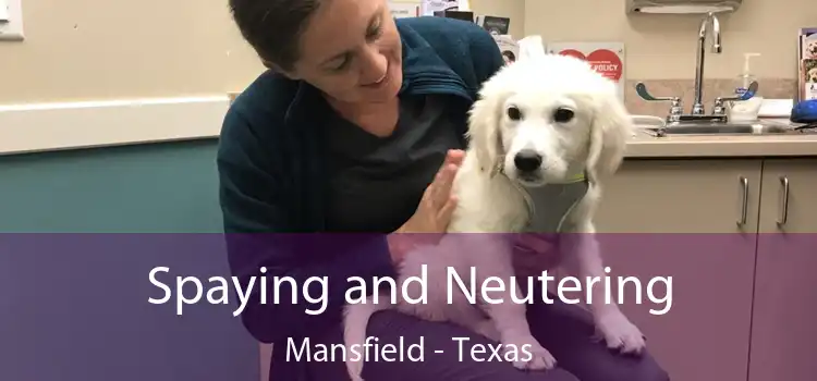 Spaying and Neutering Mansfield - Texas