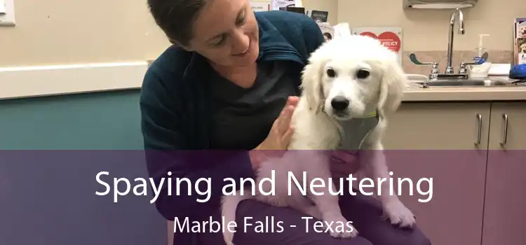 Spaying and Neutering Marble Falls - Texas