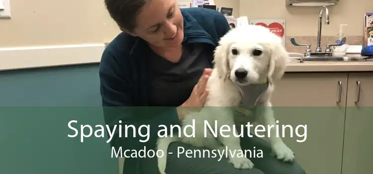 Spaying and Neutering Mcadoo - Pennsylvania