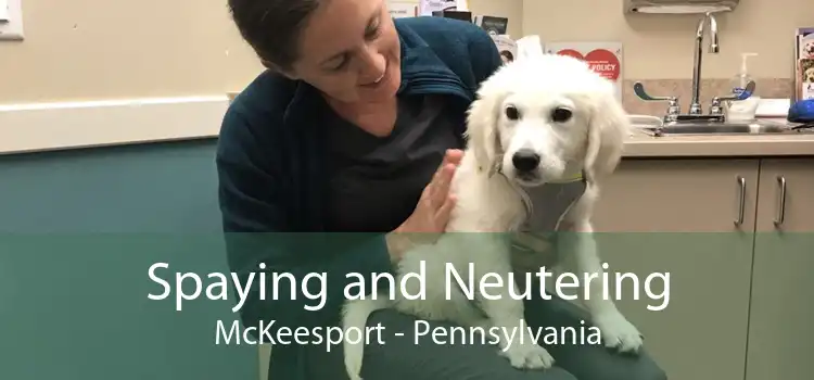 Spaying and Neutering McKeesport - Pennsylvania