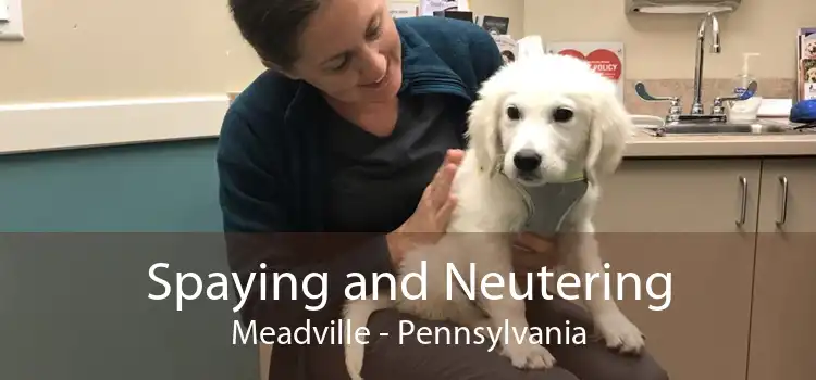 Spaying and Neutering Meadville - Pennsylvania