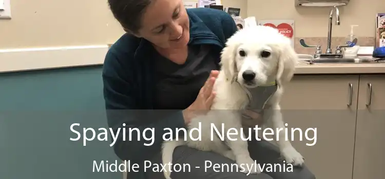 Spaying and Neutering Middle Paxton - Pennsylvania