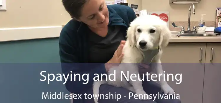 Spaying and Neutering Middlesex township - Pennsylvania