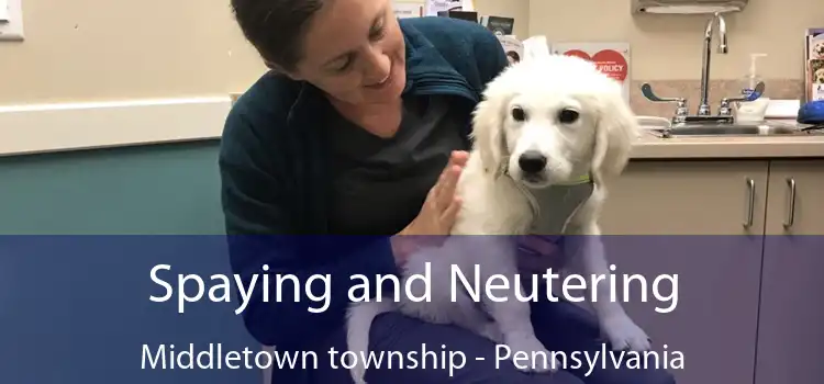 Spaying and Neutering Middletown township - Pennsylvania