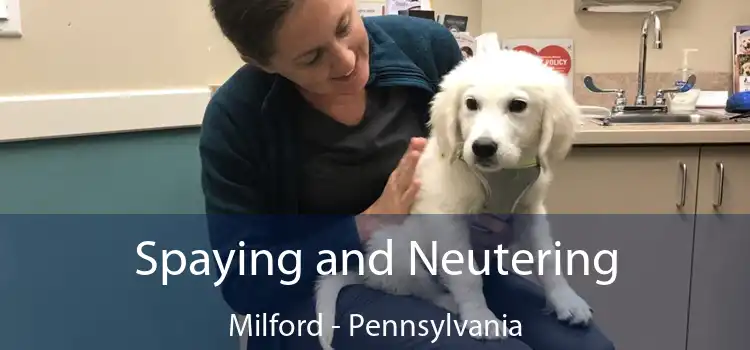 Spaying and Neutering Milford - Pennsylvania