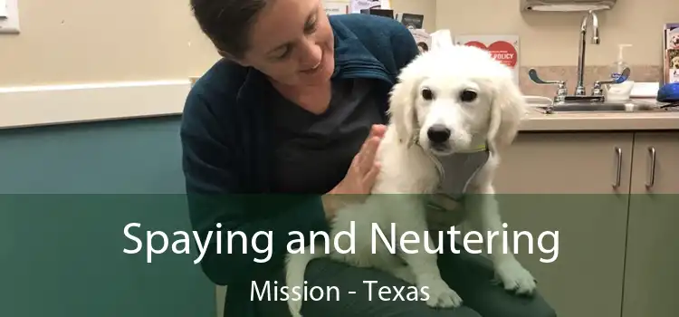 Spaying and Neutering Mission - Texas