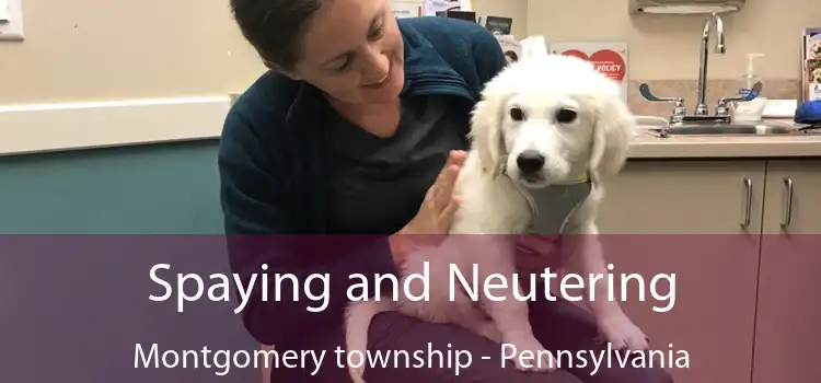 Spaying and Neutering Montgomery township - Pennsylvania