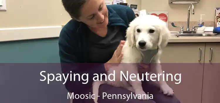 Spaying and Neutering Moosic - Pennsylvania