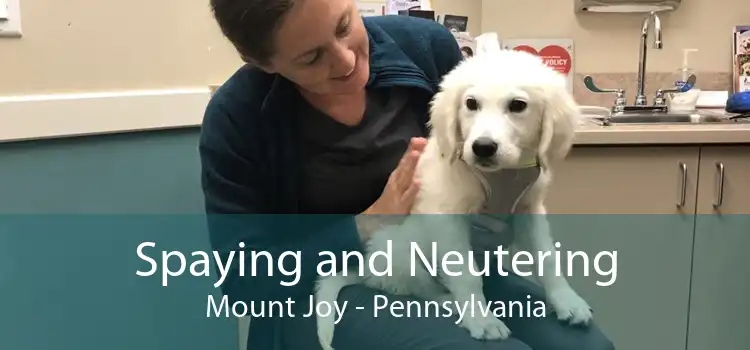 Spaying and Neutering Mount Joy - Pennsylvania