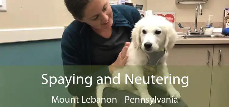 Spaying and Neutering Mount Lebanon - Pennsylvania